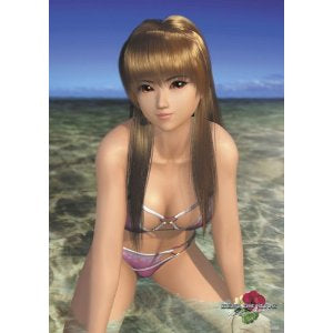 Dead or Alive Paradise Official Large Sexy Poster
