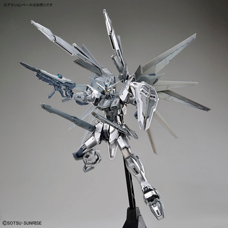BANDAI MG 1/100 Freedom Gundam Ver.2.0 (Silver Coating) [GUNDAM BASE Limited]-4