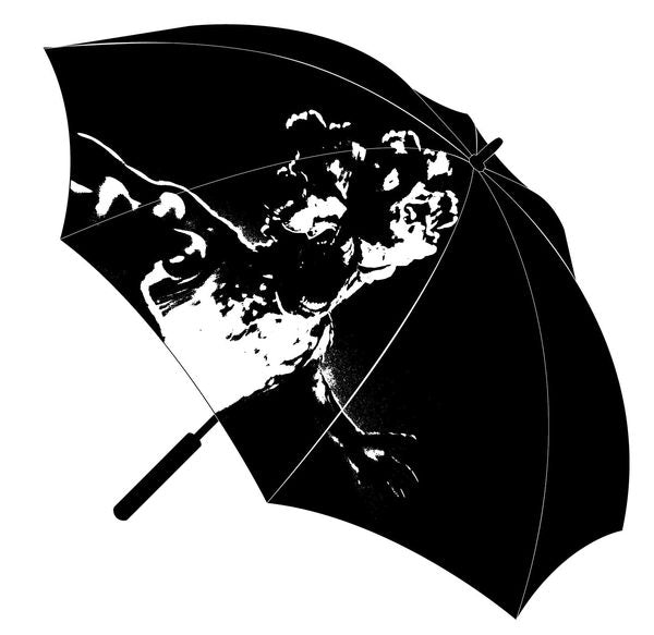 最後生還者官方限量雨傘-1