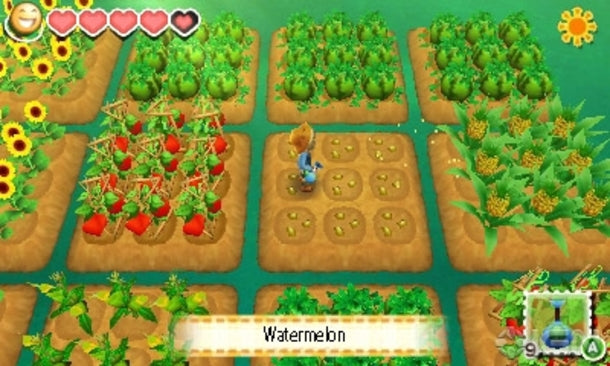 Story of Seasons-3