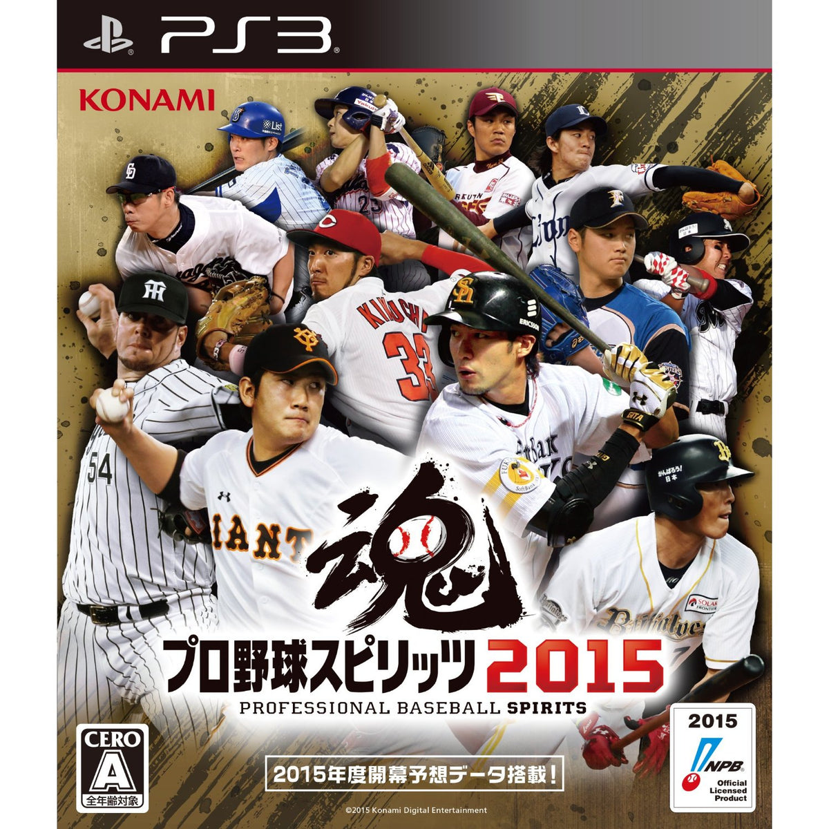 職業棒球魂 2015