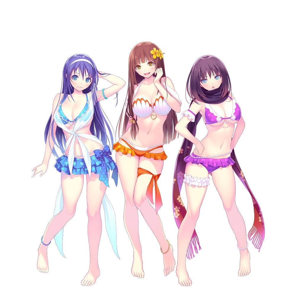 Valkyrie Drive Bhikkhuni (乳乳 DX Box)