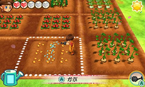 Harvest Moon: Mitsu No Ri No Taisetsu Na Tomodachi-7