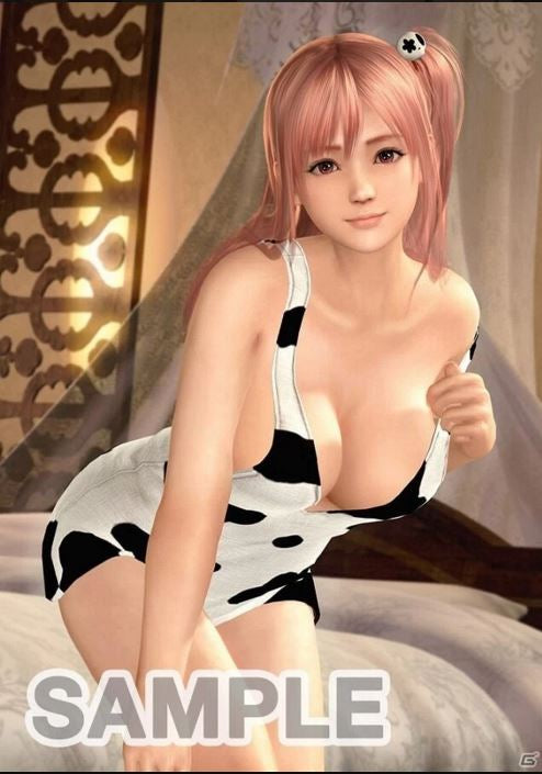 Dead or Alive Xtreme 3 Original Clear Folder (Marie Rose)
