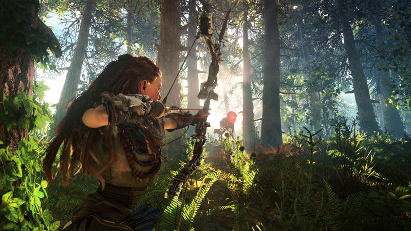 Horizon: Zero Dawn (珍藏限定版)-6