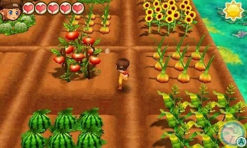Story of Seasons~ Trio of Towns