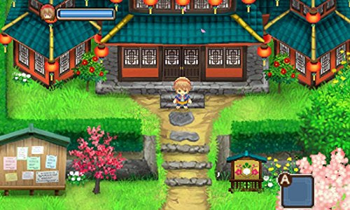牧场物语 : 双子村 +