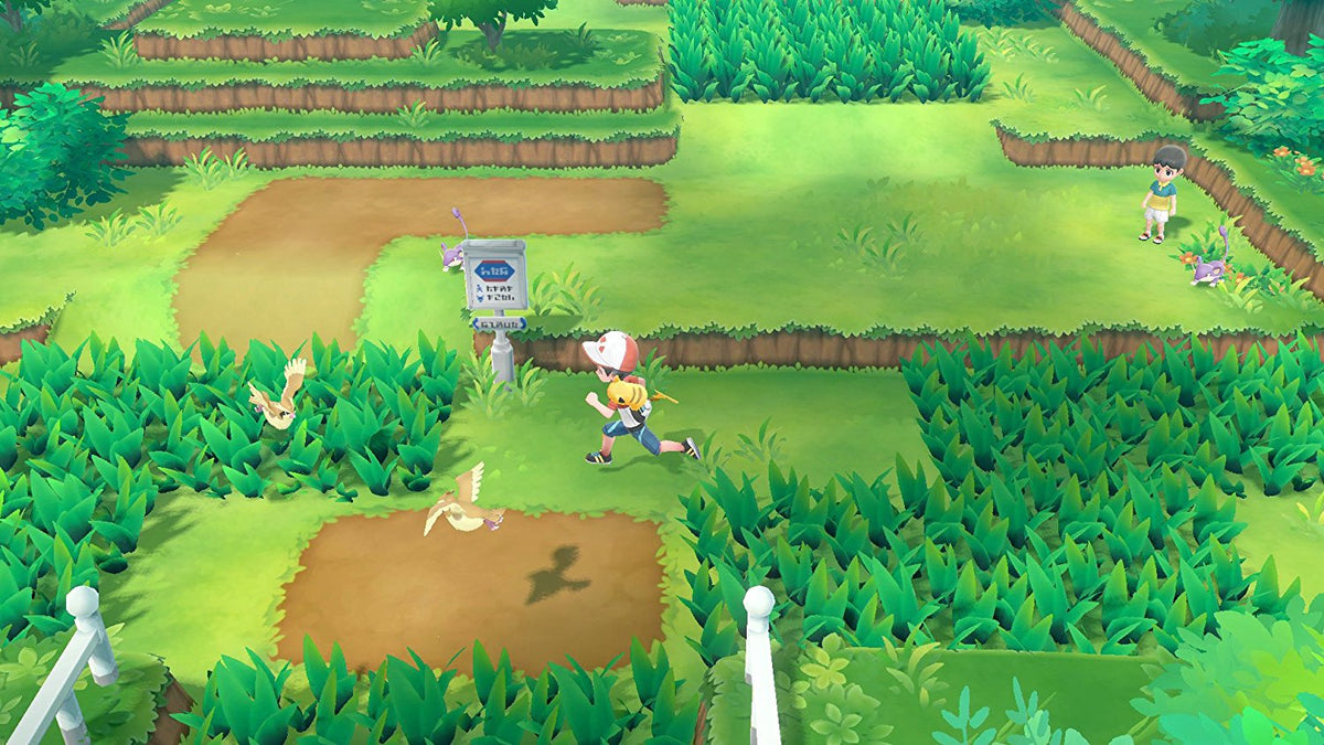 Pokemon Let's Go! (Eevee)-2
