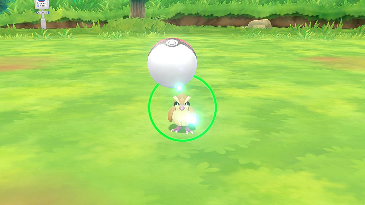 Pokemon Let's Go! (Eevee)-5