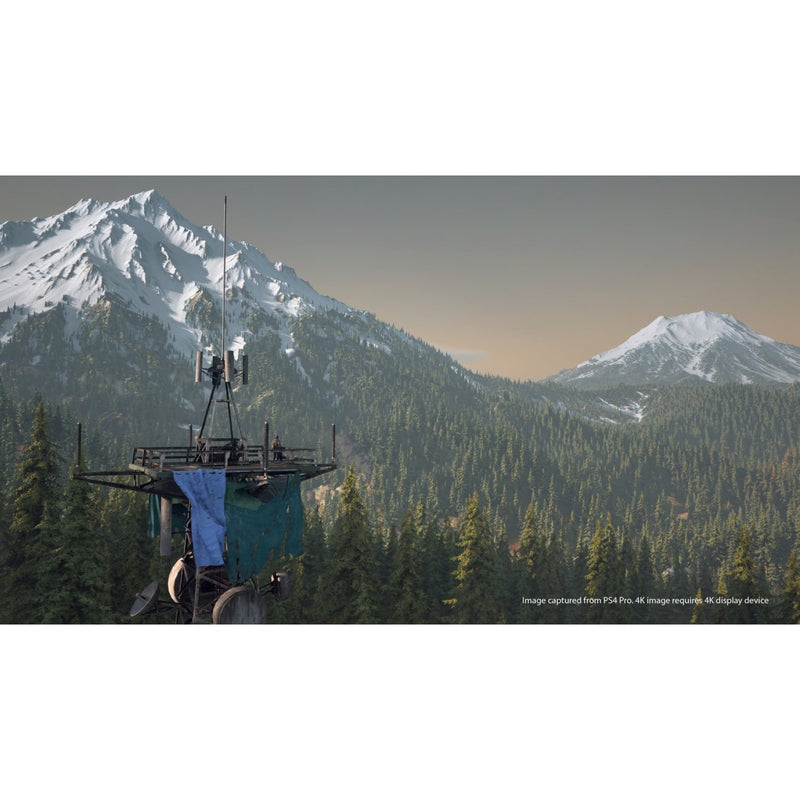 PS4 Days Gone-3