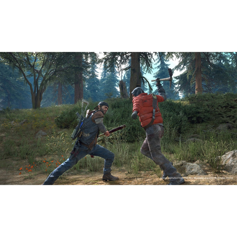 PS4 Days Gone-4