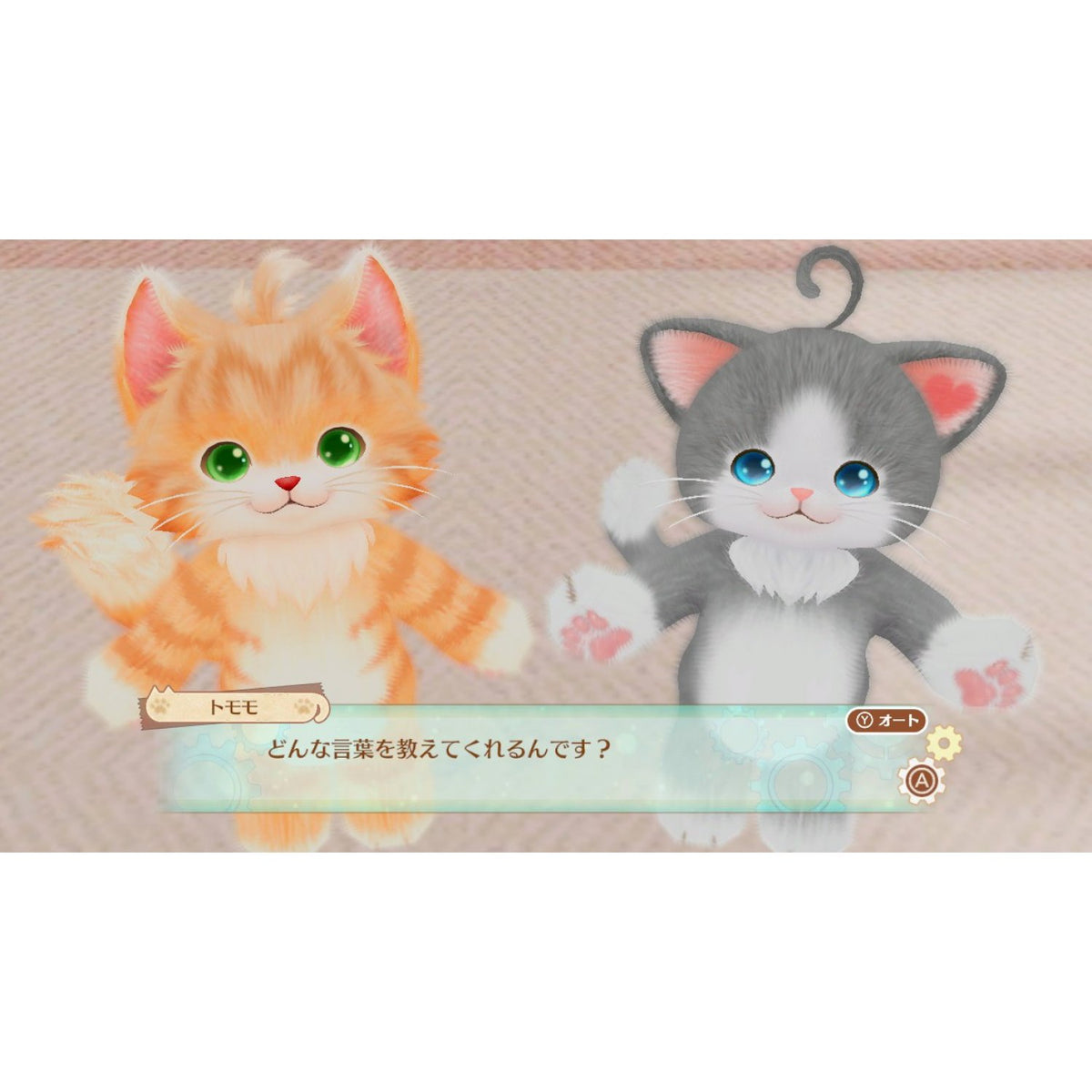 猫友