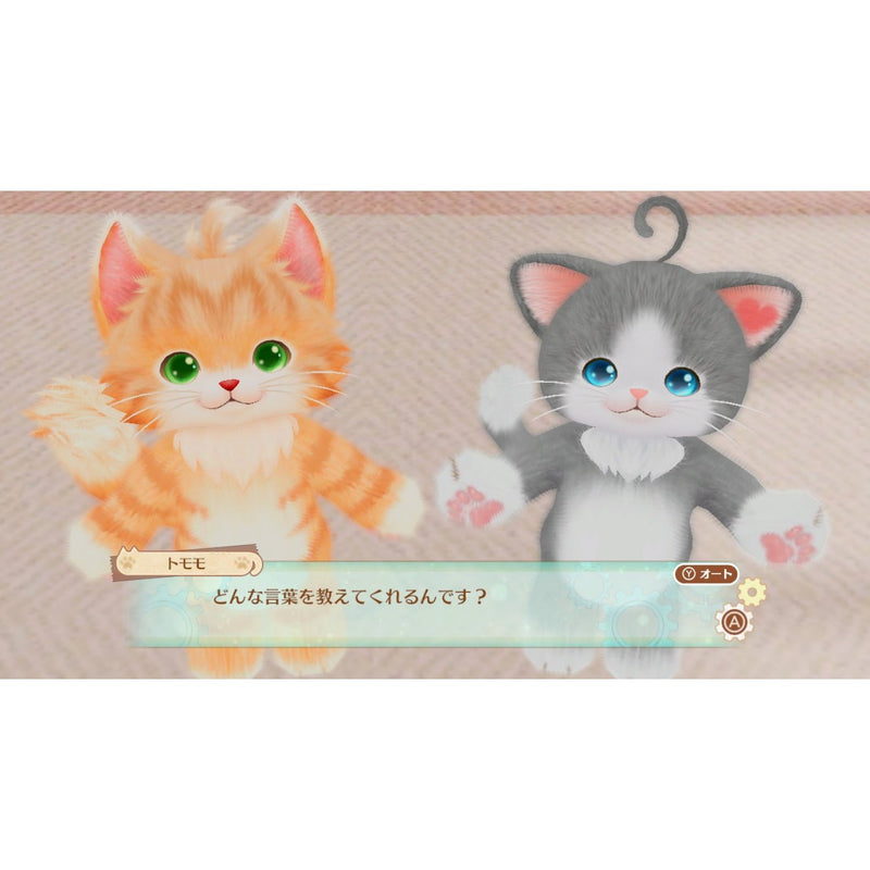 猫友-2