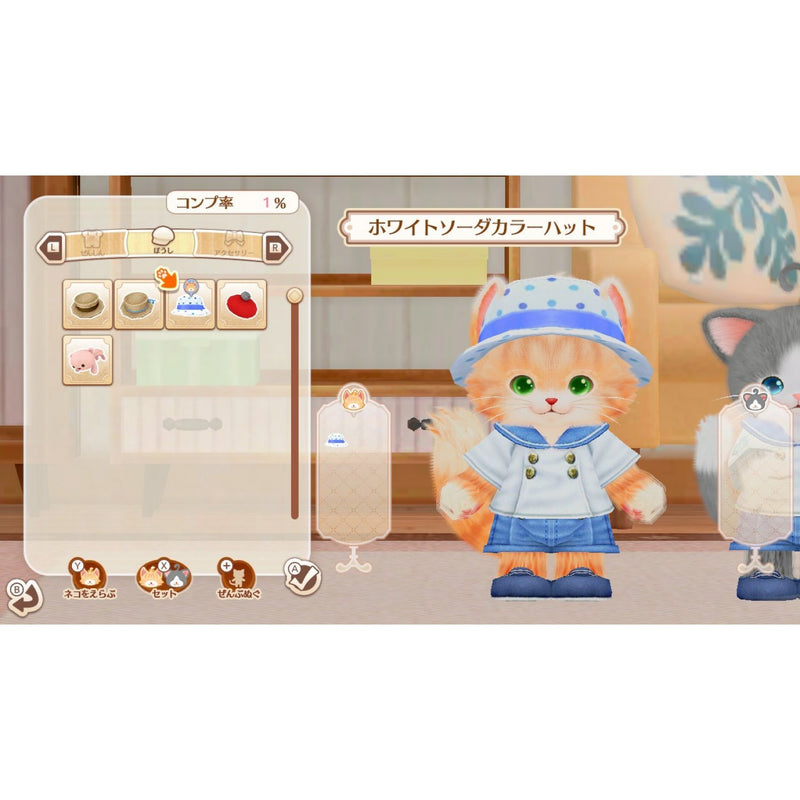 猫友-4