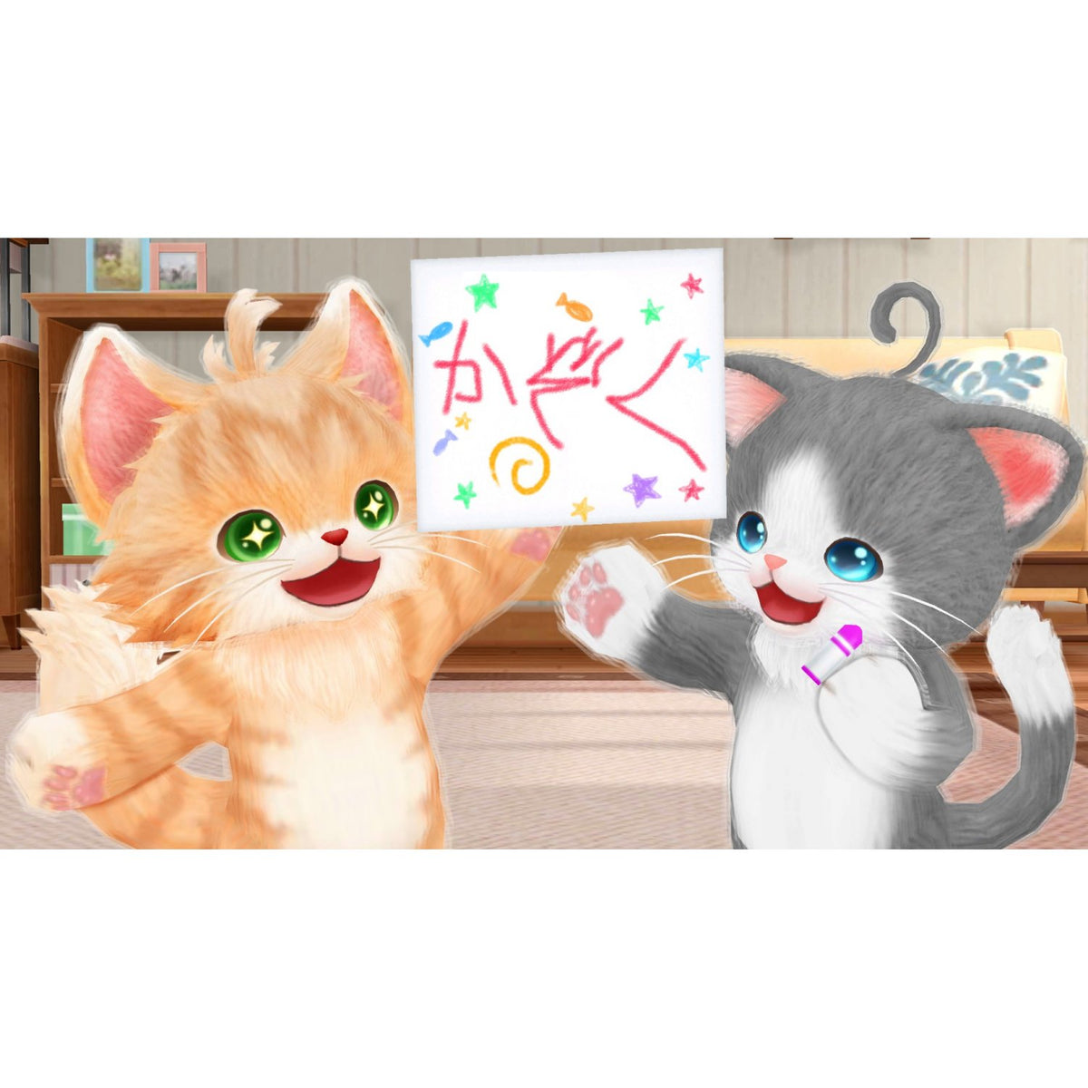 猫友-3