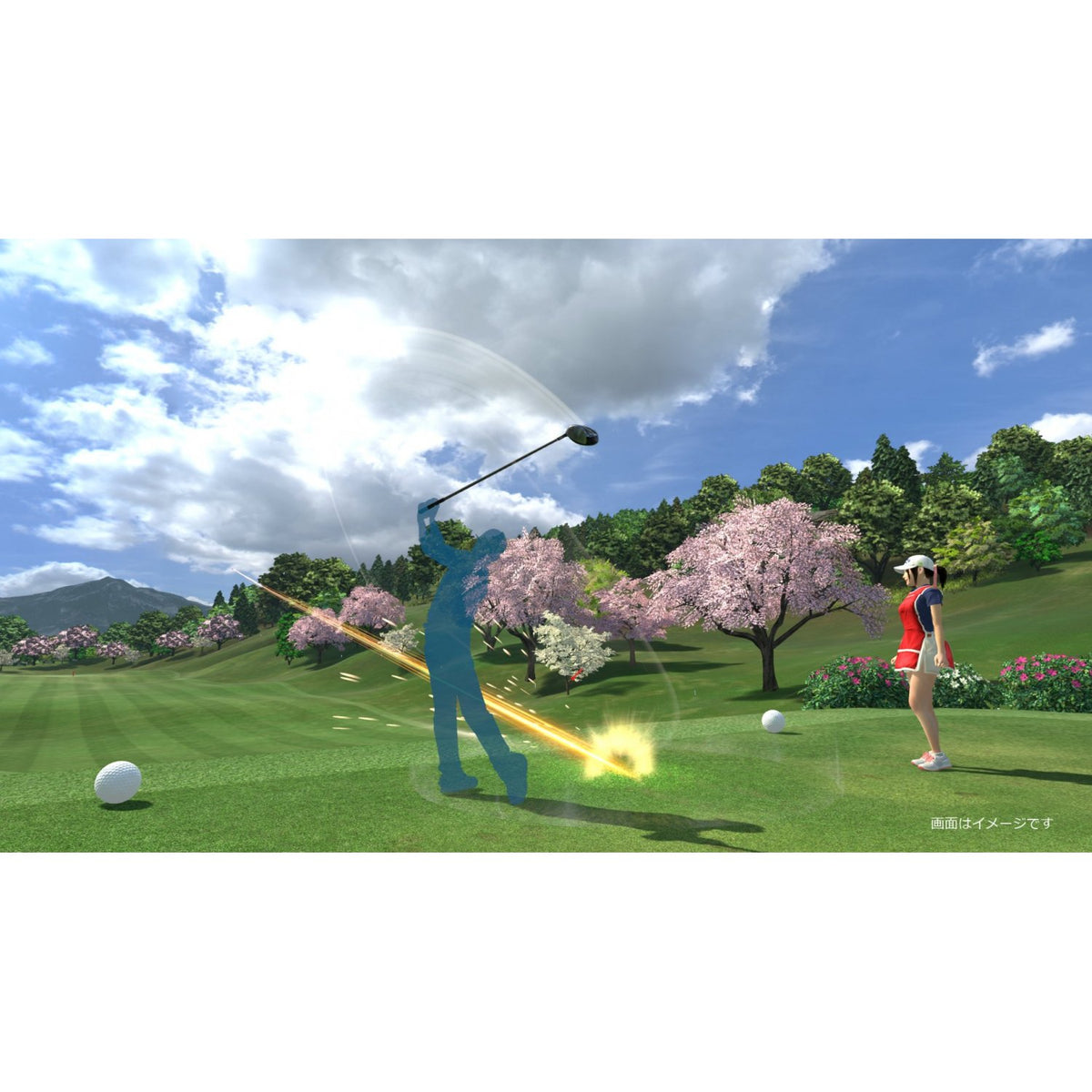 Everybody's Golf VR-4