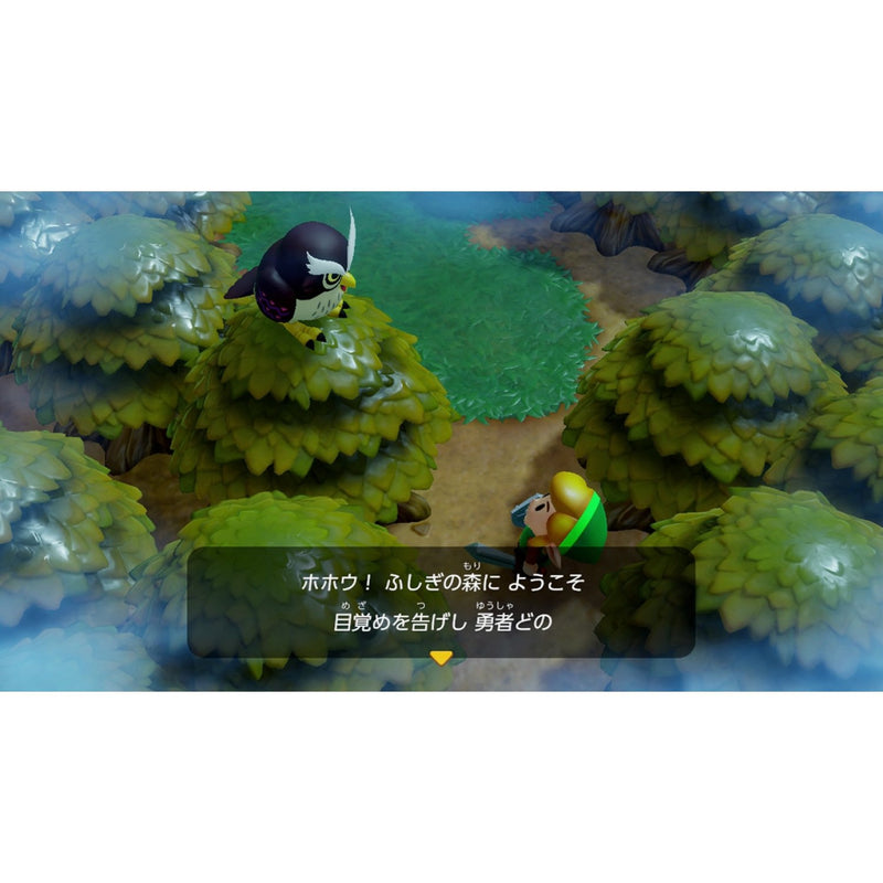 薩爾達傳說: 織夢島-4