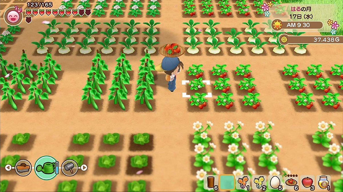 Harvest Moon: The Tale of Two Towns-2