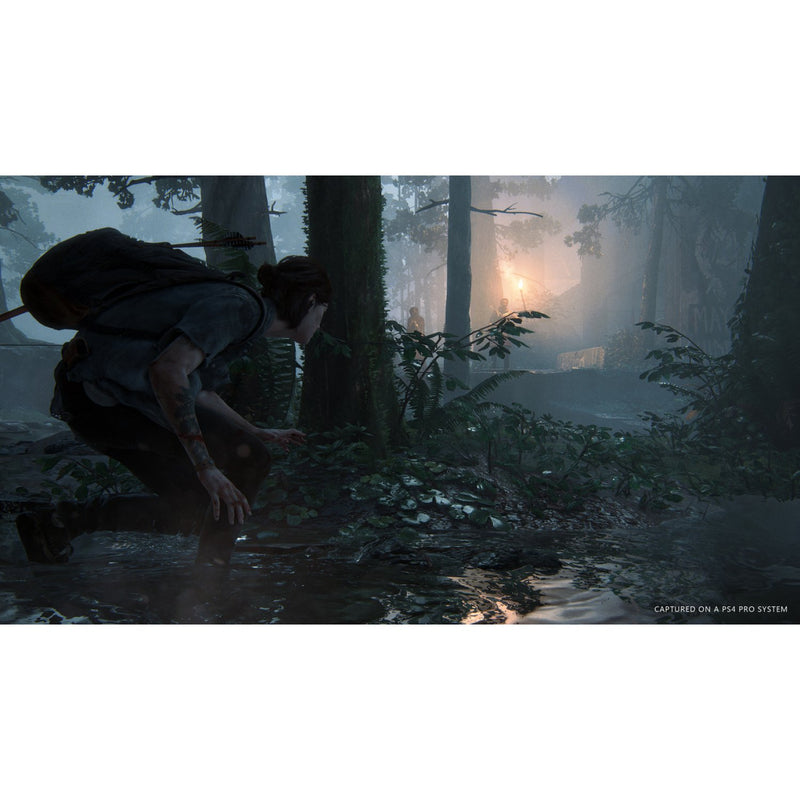 The Last of Us Part II-3