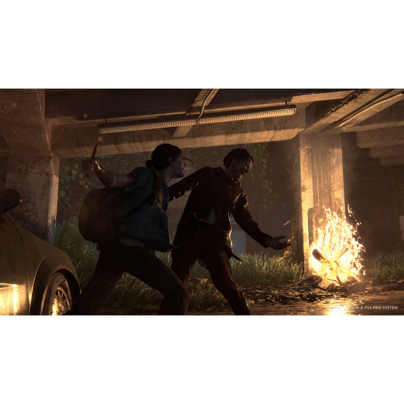The Last of Us Part II-7