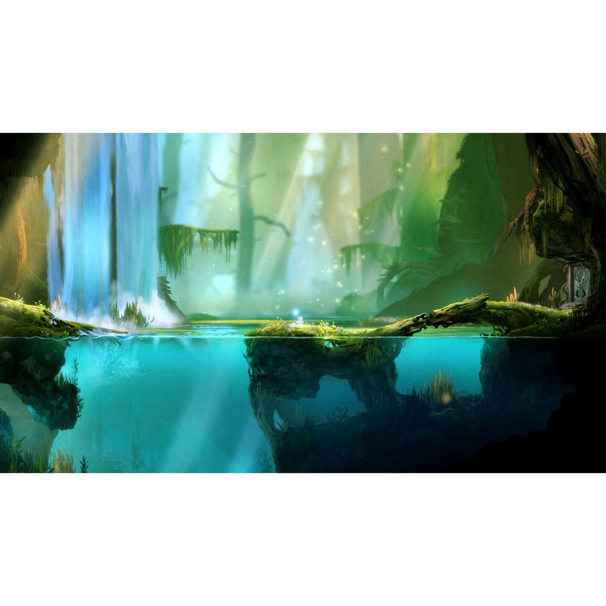 Ori and the Blind Forest: Definitive Edition-3