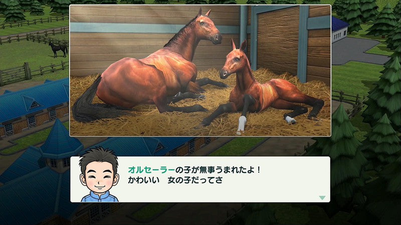 Derby Stallion-5