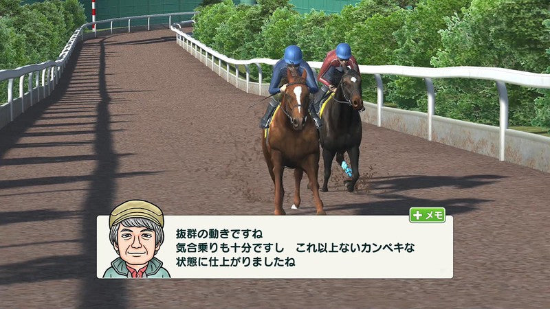 Derby Stallion-6