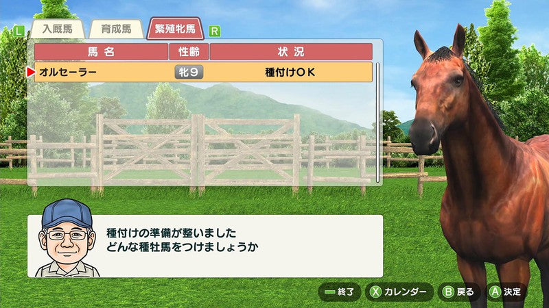 Derby Stallion