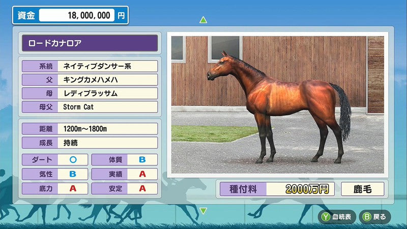 Derby Stallion-7