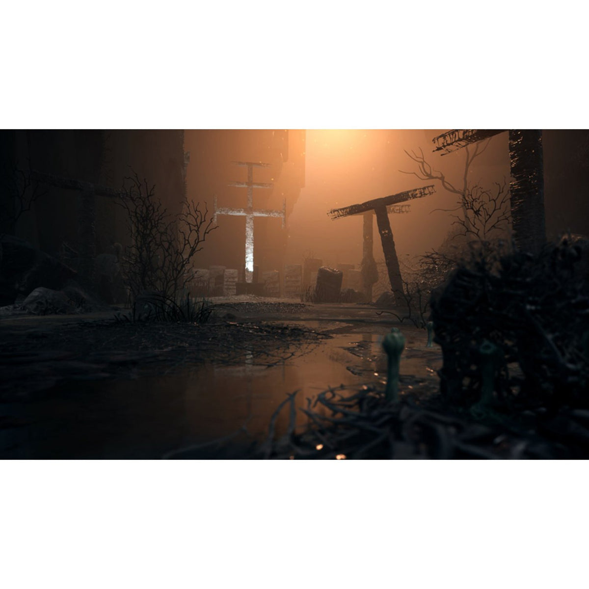 Medium-2