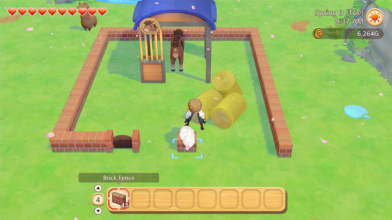 Story of Seasons~ Pioneers of Olive Town-6