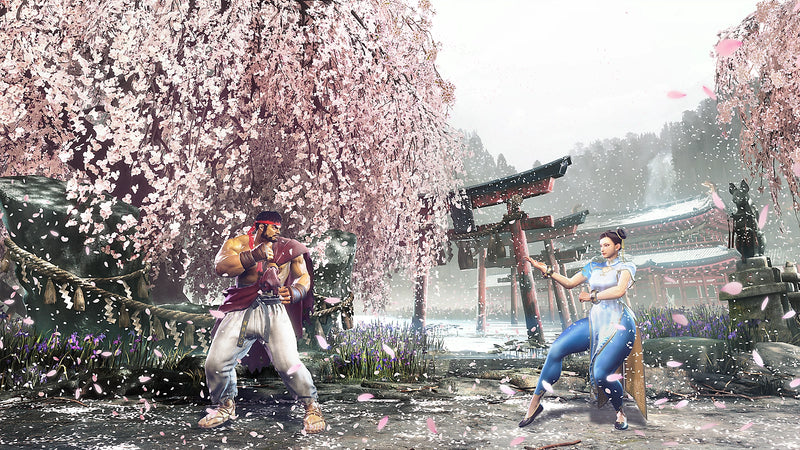 Street Fighter 6-2