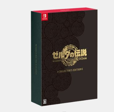 萨尔达传说~ 王国之泪-11