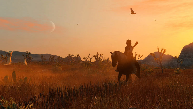 Red Dead Redemption 合輯-3