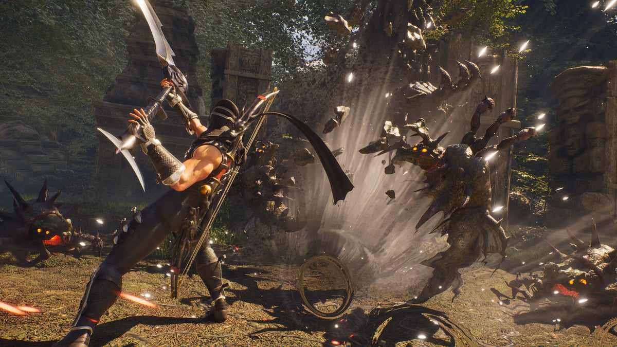 NINJA GAIDEN 2 Black-2