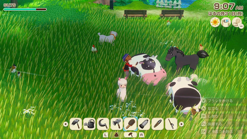 Switch 2/ Switch 牧場物語 來吧 ! 風之繁華市集-3