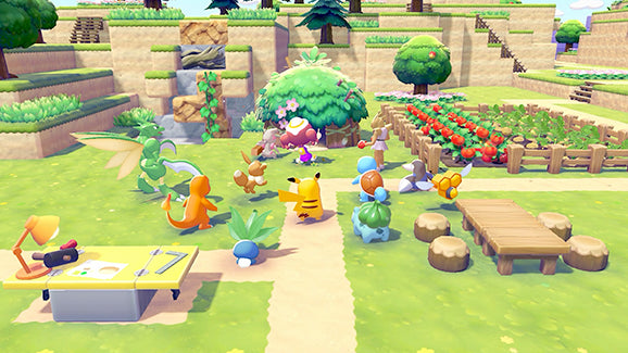 NS2 宝可梦 Pokemon Pokopia-6