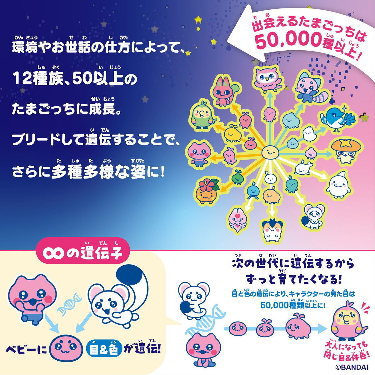 Tamagotchi Paradise (Orange Tropics) [Premium Set]-3