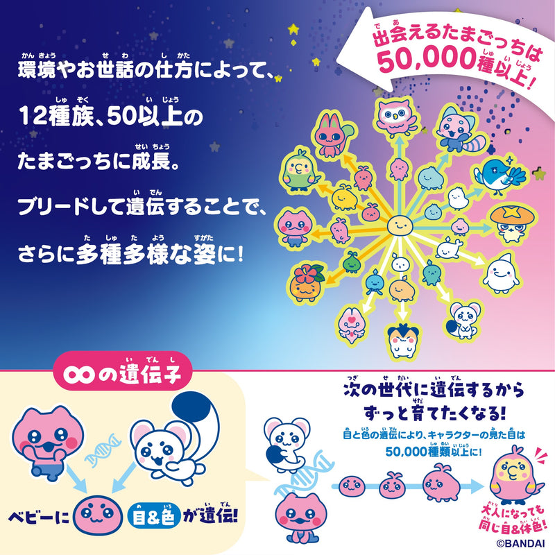 Tamagotchi Paradise (Orange Tropics) [Premium Set]-3