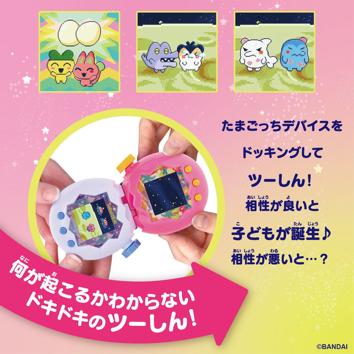 Tamagotchi Paradise (Orange Tropics) [Premium Set]-4