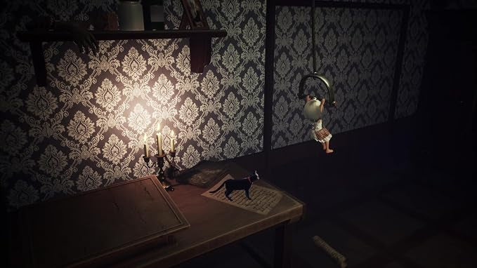 Light: Black Cat & Amnesia Girl-2