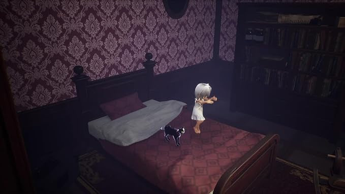Light: Black Cat & Amnesia Girl-3