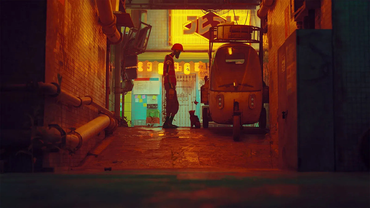 Stray-5