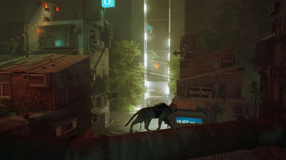 Stray-6