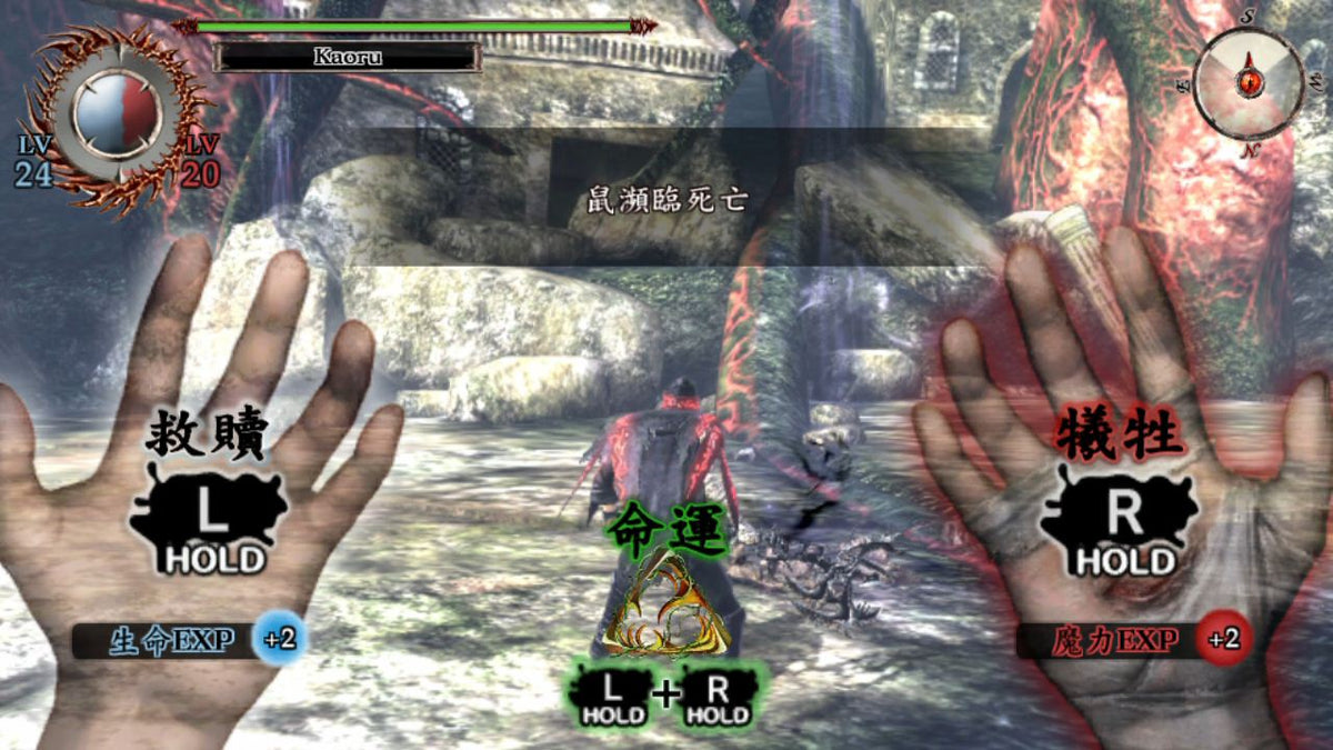 Soul Sacrifice Delta