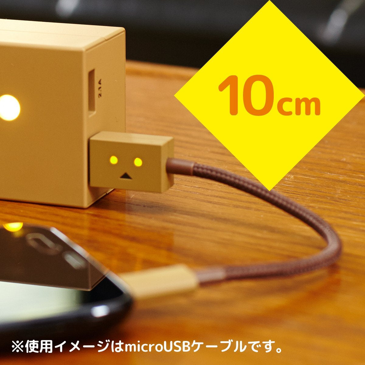 Danboard USB cable with Lightning connector & Micro USB (25cm)