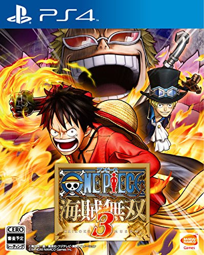 One Piece Musou 3