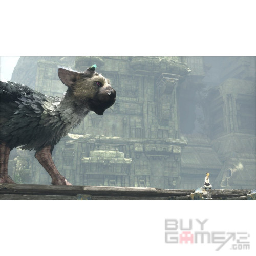 The Last Guardian HK Limited