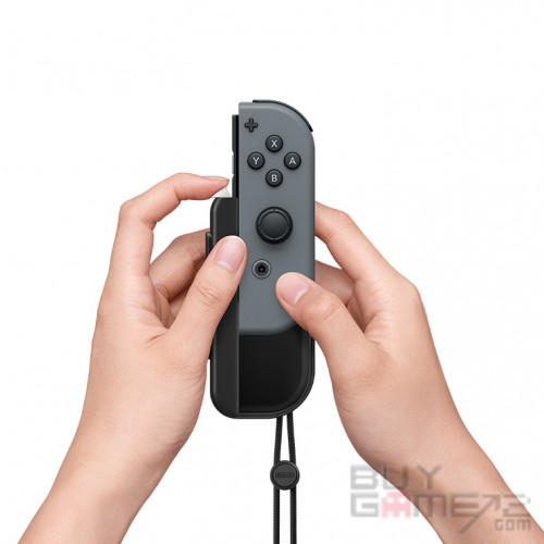 原装 Joy-Con 扩张电池 (干电池式) 香港版