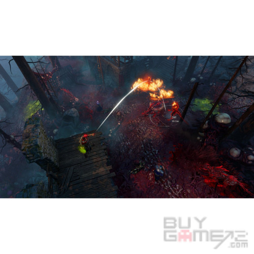 Divinity: Original Sin 2 (Definitive Edition) European